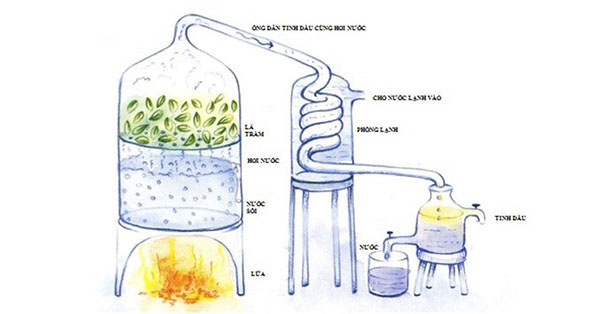 cách làm tinh dầu trầm hương